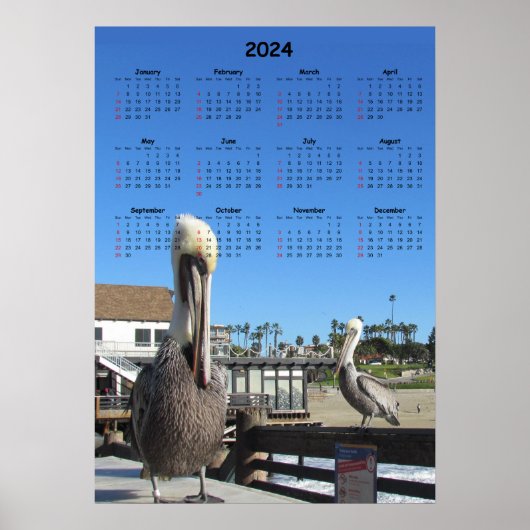 Kalender - Pelikanen op Pier 2024 Poster (Voorkant)