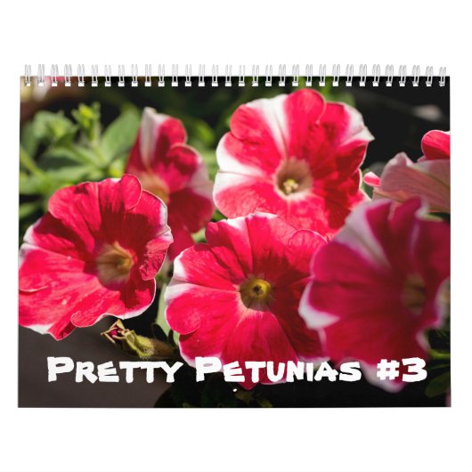 Kalender -  Petunias (Hoes)