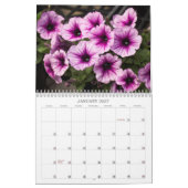 Kalender -  Petunias (Jan 2027)