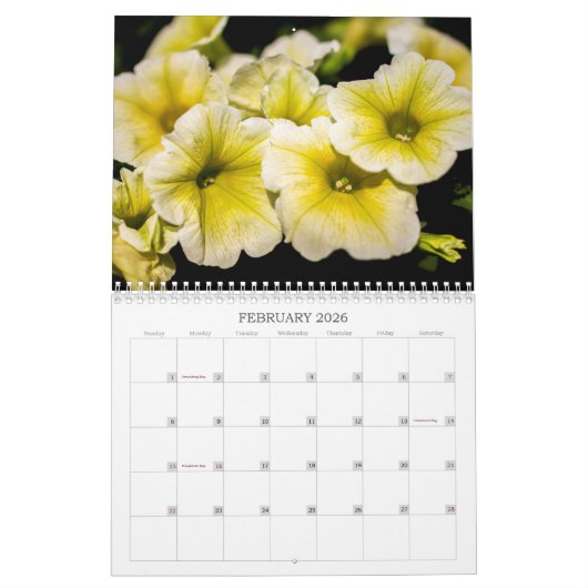 Kalender -  Petunias (Feb 2026)