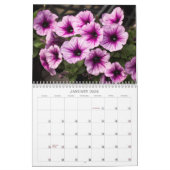 Kalender -  Petunias (Jan 2026)