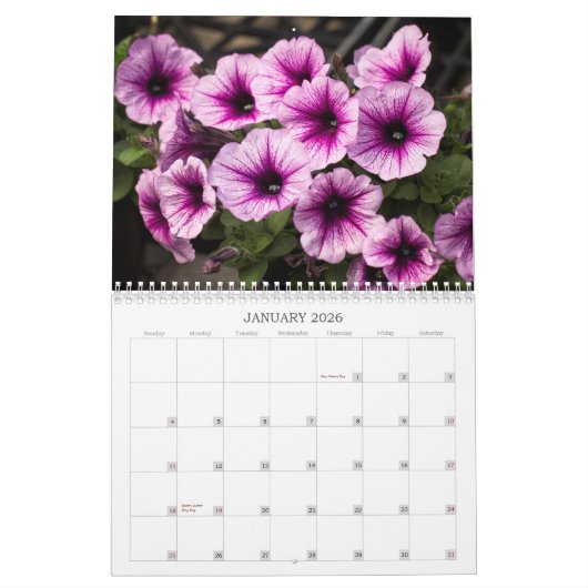 Kalender -  Petunias (Jan 2026)