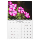 Kalender - Petunias (Jan 2027)