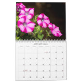 Kalender -  Petunias (Jan 2026)