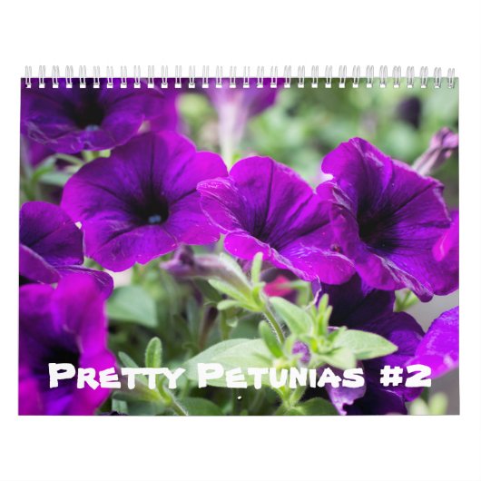 Kalender -  Petunias #2 (Hoes)