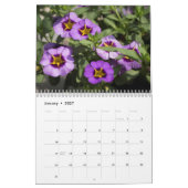 Kalender -  Petunias #2 (Jan 2027)