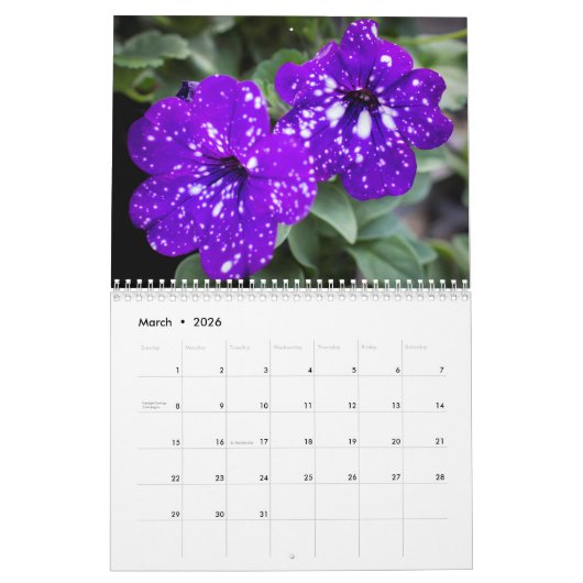 Kalender - Petunias #4 (Mar 2026)