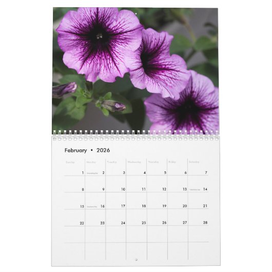 Kalender - Petunias #4 (Feb 2026)
