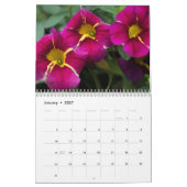 Kalender -  Petunias #4 (Jan 2027)