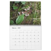 Kalender - prachtige paddenstoelen (Feb 2027)