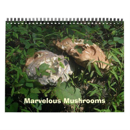 Kalender - prachtige paddenstoelen (Hoes)