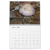 Kalender - prachtige paddenstoelen (Jan 2027)