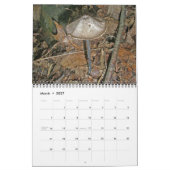 Kalender - prachtige paddenstoelen (Mar 2027)