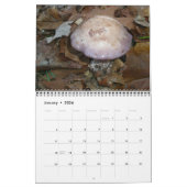 Kalender - prachtige paddenstoelen (Jan 2026)