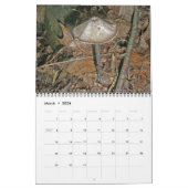Kalender - prachtige paddenstoelen (Mar 2026)
