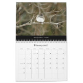 Kalender prachtige vogels #2 (Feb 2027)