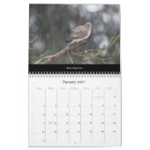 Kalender prachtige vogels #2 (Jan 2027)
