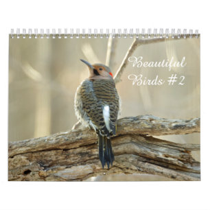 Kalender prachtige vogels #2