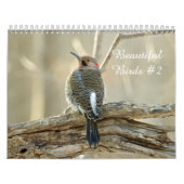 Kalender prachtige vogels #2 (Hoes)