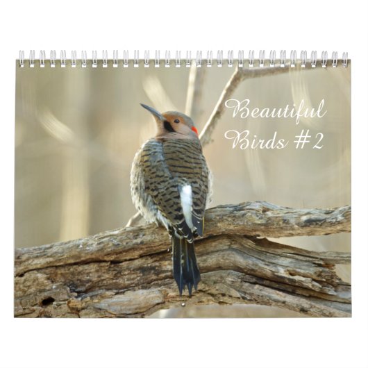 Kalender prachtige vogels #2 (Hoes)