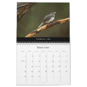 Kalender prachtige vogels #2 (Mar 2026)