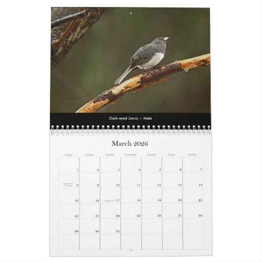 Kalender prachtige vogels #2 (Mar 2026)