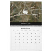 Kalender prachtige vogels #2 (Feb 2026)