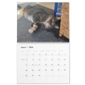 Kalender Precious Paws 2025 (Mar 2026)