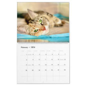 Kalender Precious Paws 2025 (Feb 2026)
