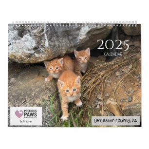 Kalender Precious Paws 2025