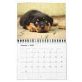 Kalender Puppies 2016 (Feb 2027)
