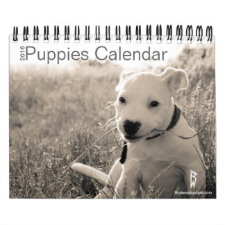 Kalender Puppies 2016