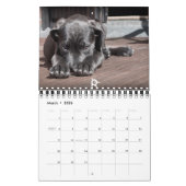 Kalender Puppies 2016 (Mar 2026)
