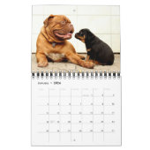 Kalender Puppies 2016 (Jan 2026)