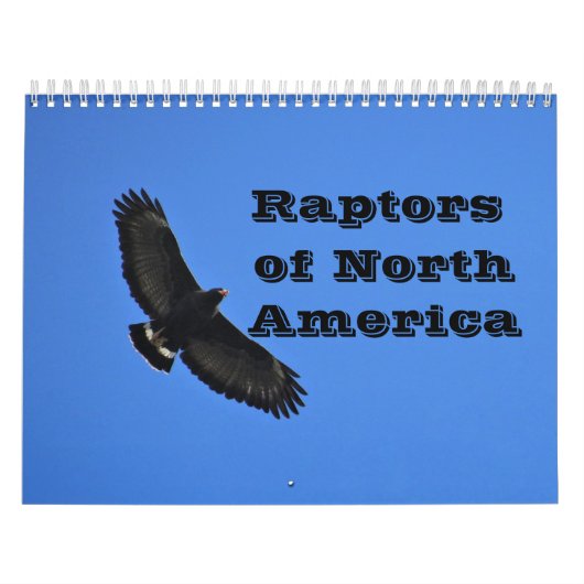Kalender - Rapporteurs (roofvogels) van Noord-Amer (Hoes)