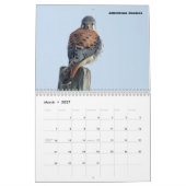 Kalender - Rapporteurs (roofvogels) van Noord-Amer (Mar 2027)