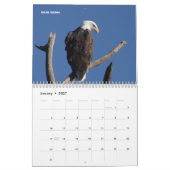 Kalender - Rapporteurs (roofvogels) van Noord-Amer (Jan 2027)