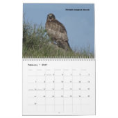 Kalender - Rapporteurs (roofvogels) van Noord-Amer (Feb 2027)
