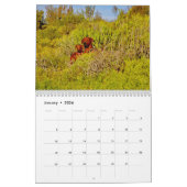 Kalender Rhodesian Ridgeback - Liondog - 15 Monate (Jan 2026)