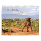 Kalender Rhodesian Ridgeback - Liondog - 15 Monate (Hoes)