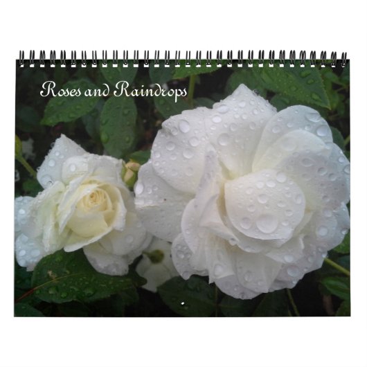 kalender rozen EN RAINDROPS (Hoes)