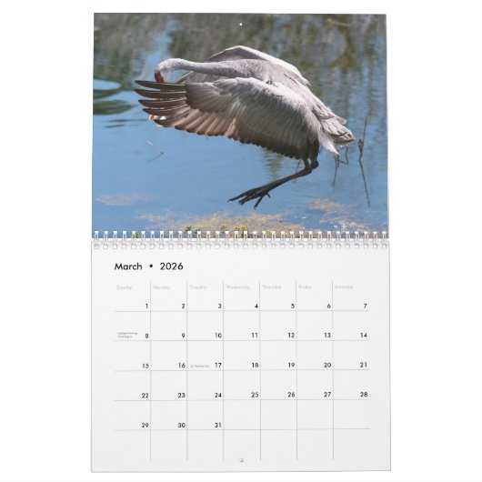 Kalender Sandhill Cranes 2017 (Mar 2026)