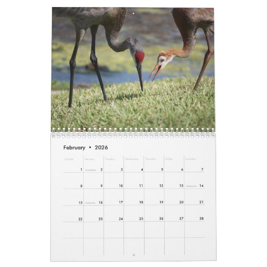 Kalender Sandhill Cranes 2017 (Feb 2026)