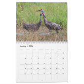 Kalender Sandhill Cranes 2017 (Jan 2026)