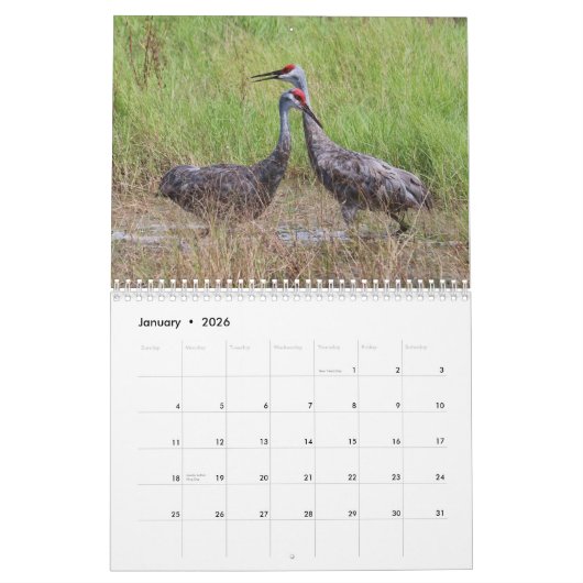 Kalender Sandhill Cranes 2017 (Jan 2026)
