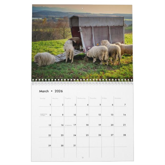 Kalender schapen 2025 (Mar 2026)