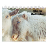 Kalender schapen 2025 (Hoes)
