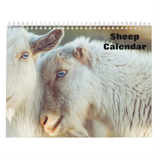 Kalender schapen 2025 (Hoes)