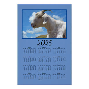 Kalender - Schapen op de heuvel Perfect Poster