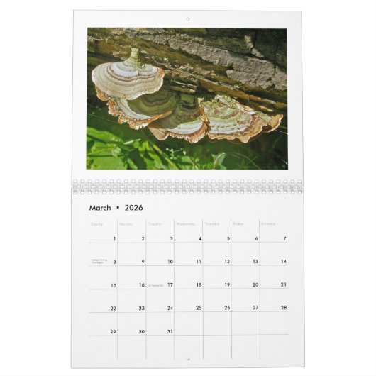 Kalender - Schimmel onder ons (Mar 2026)